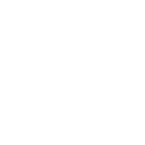 2026 Fast-N-Easy Paradise Summit VIP Access - Mastery Route